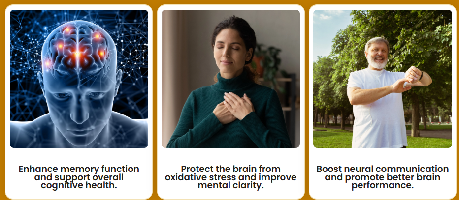 5 Daily Habits That Support Long-Term Brain Health